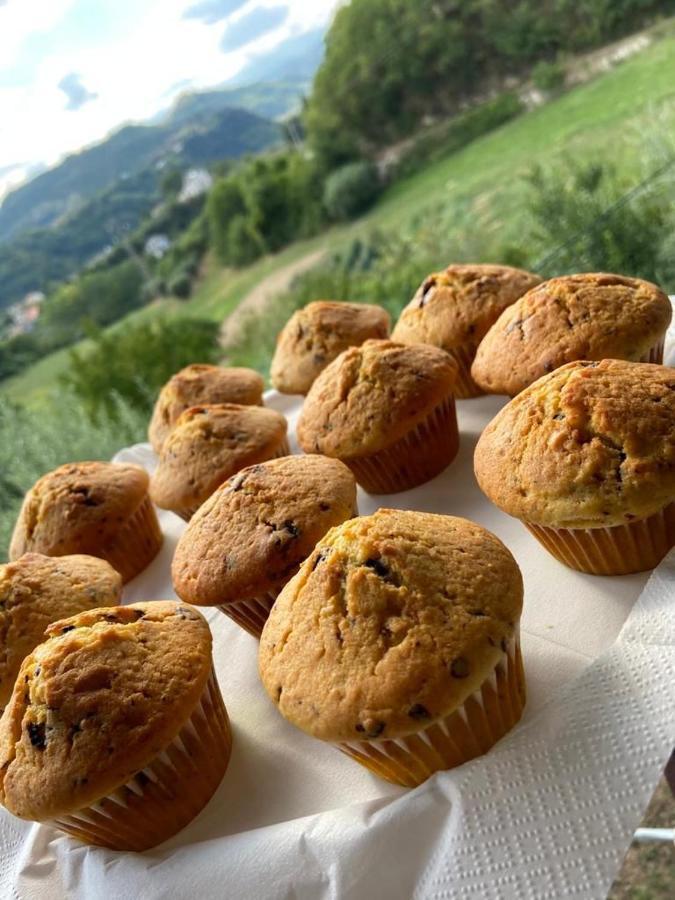 아스콜리피체노 La Collina Su Ascoli B&B 외부 사진